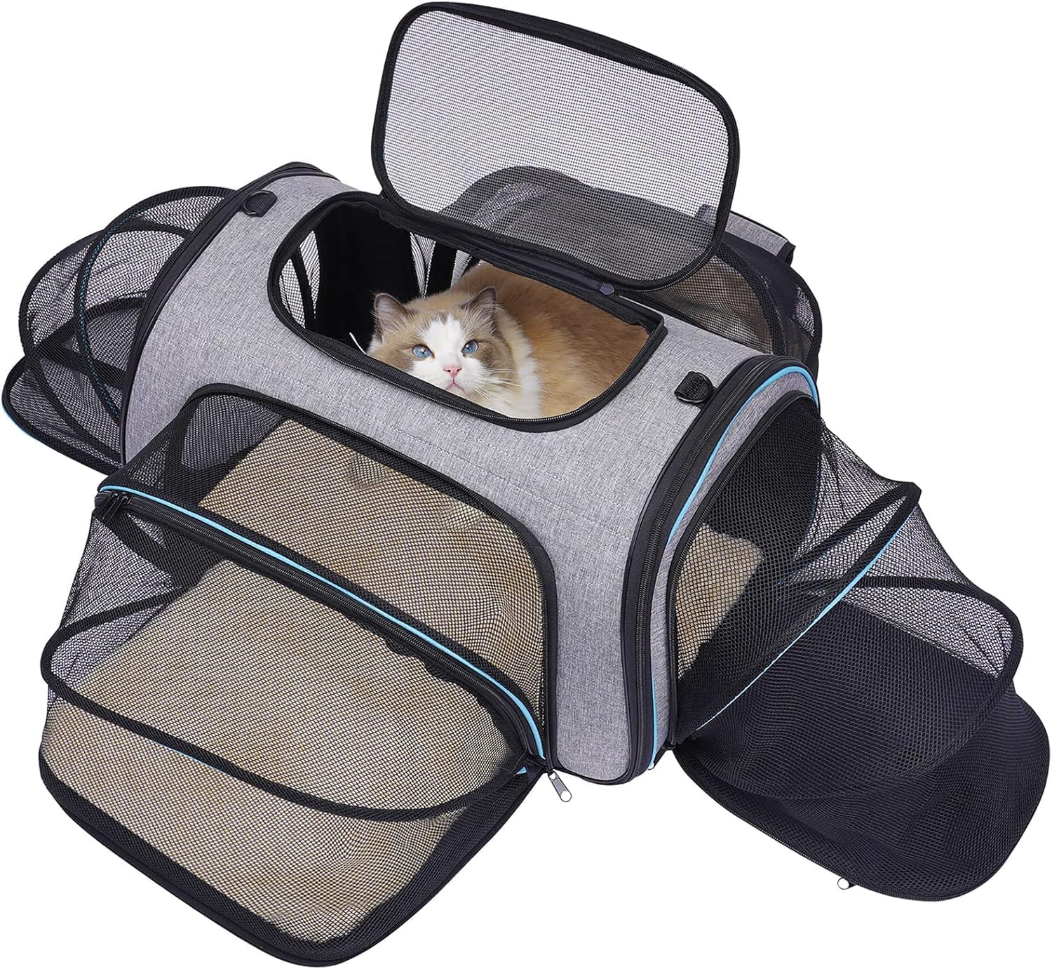 Gray pet carrier expanded with a fluffy Ragdoll cat inside, and one folded flat on white.