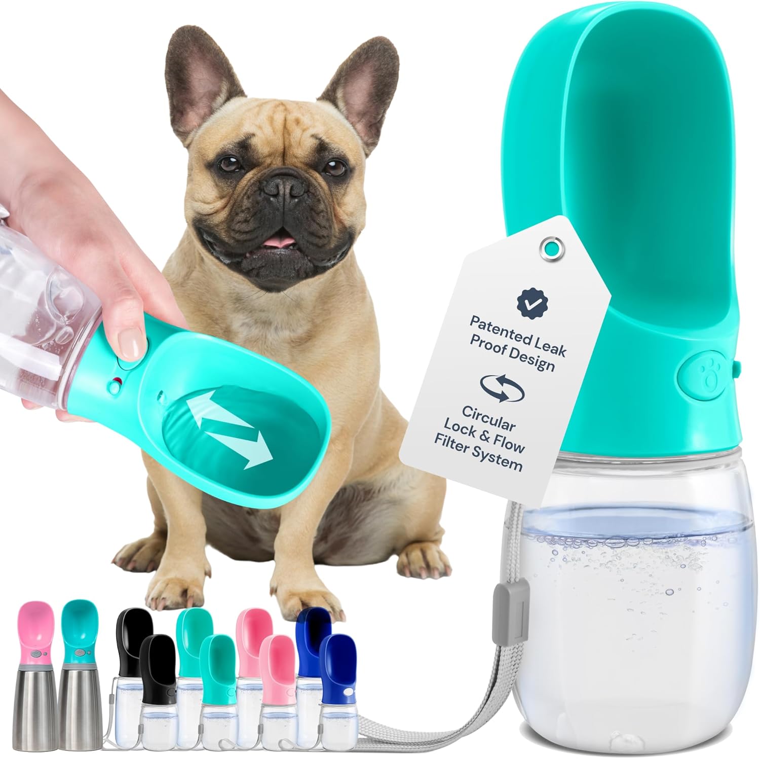 Happy French Bulldog drinking fresh water from a teal portable dog water bottle with a clear bowl top.