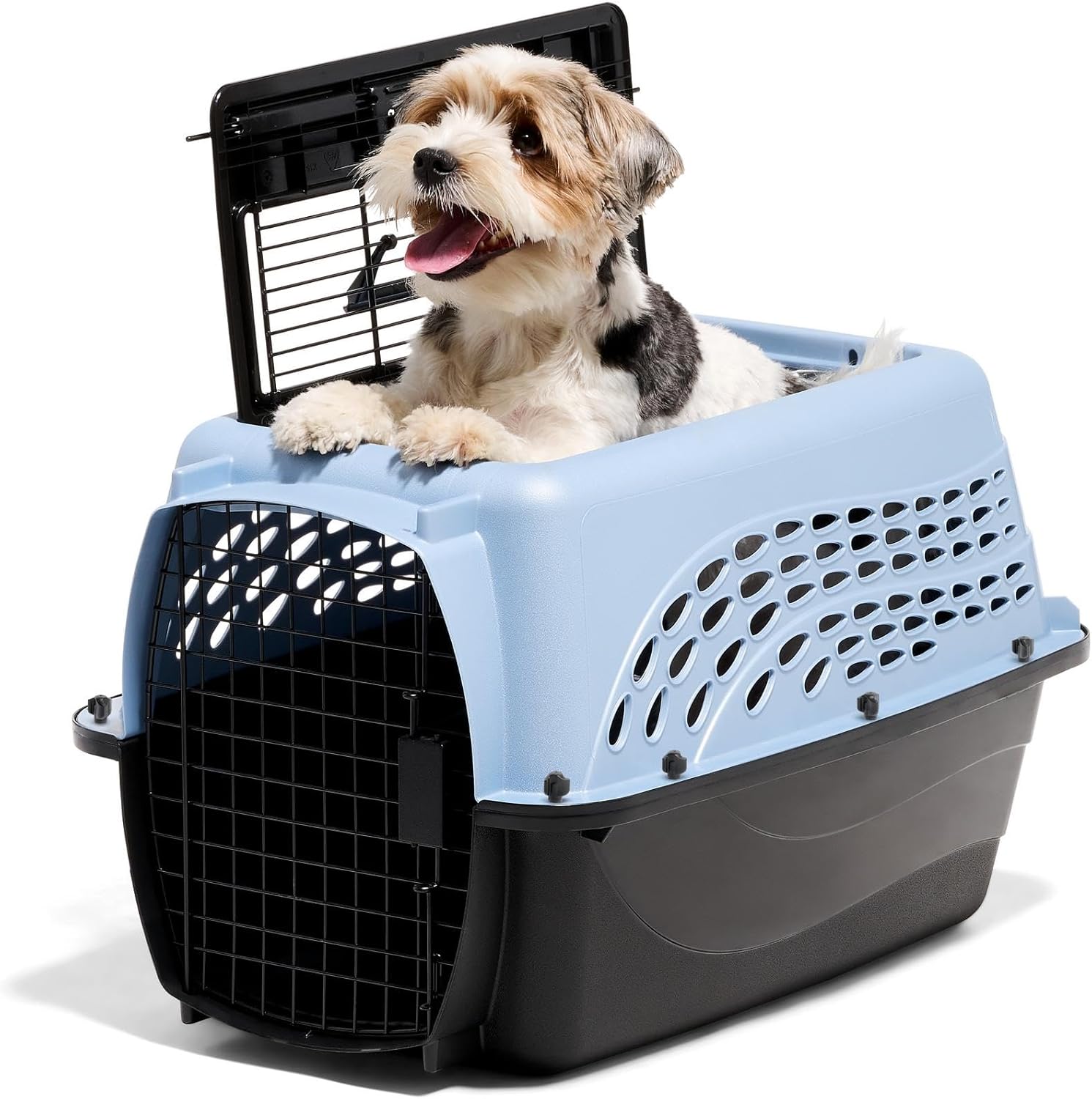 Happy fluffy dog inside a blue soft pet carrier next to a dark gray hard pet crate.
