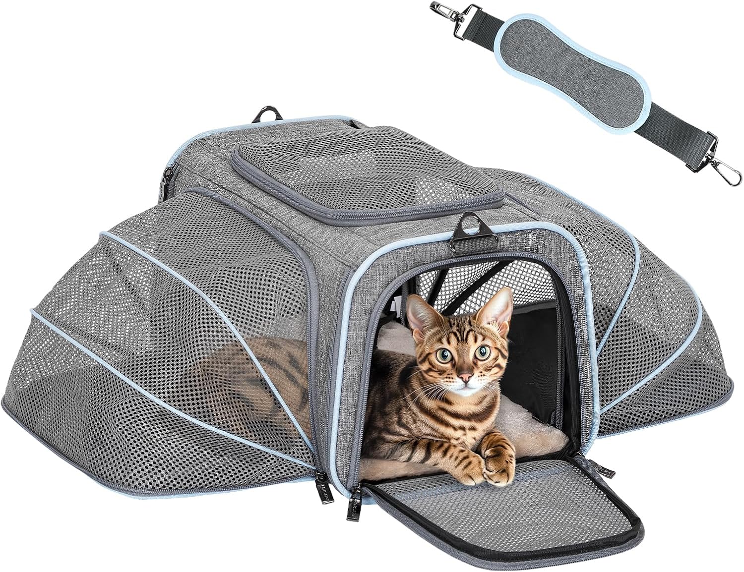 Gray expandable pet carrier with tabby cat inside, flanked by two matching pet travel bags.